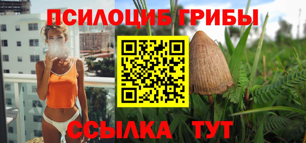 Галлюциногенные грибы Psilocybine cubensis Саров