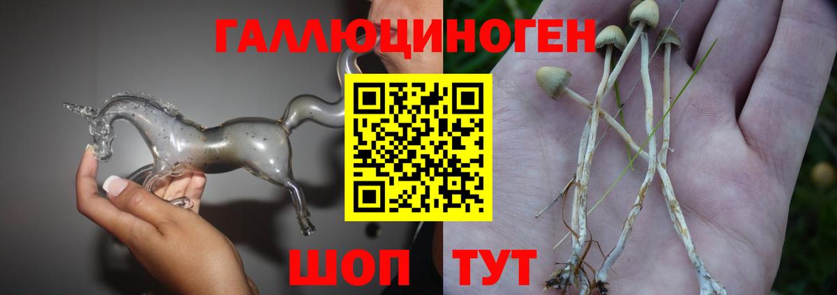 Псилоцибиновые грибы Cubensis  Вход с VPN  Саров 